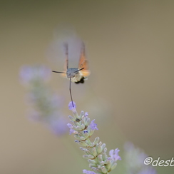 c etait du temps-296