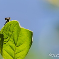 c etait du temps-304