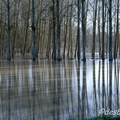 c etait du temps-307