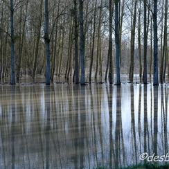 c etait du temps-307
