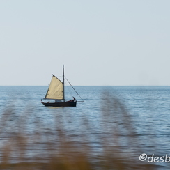 2013-08-22 1069prefaillesD800E
