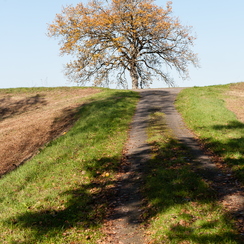  2009-11-09 10 loireD700