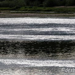 2015-08-19 204loireD810