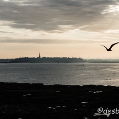 2015-09-06 329dinardD810