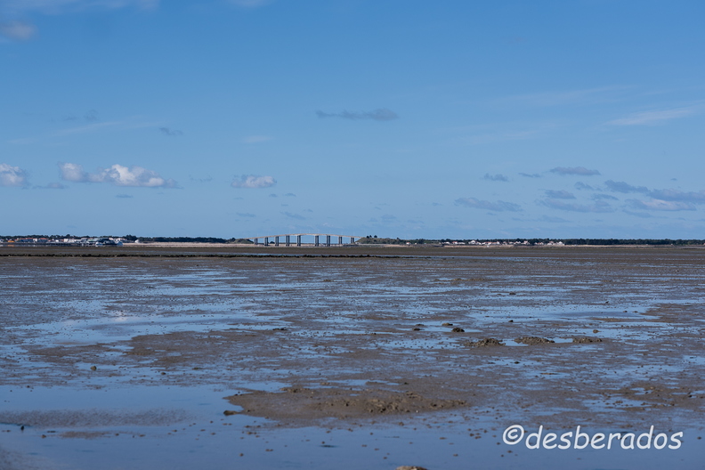 2015-04-29_6noirmoutier.jpg