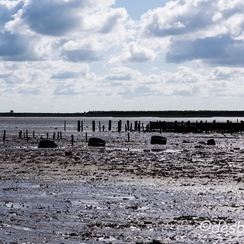 2015-04-29 9noirmoutier