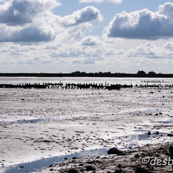 2015-04-29 10noirmoutier