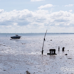 2015-04-29 25noirmoutier