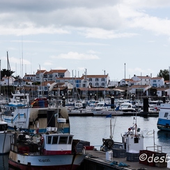 2015-04-29 41noirmoutier
