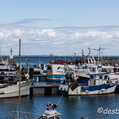 2015-04-29 42noirmoutier