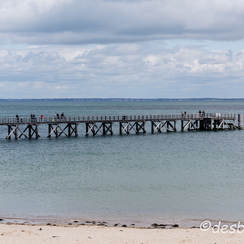 2015-04-29 44noirmoutier