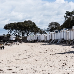 2015-04-29 49noirmoutier