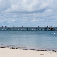 2015-04-29 50noirmoutier