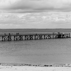 2015-04-29 44noirmoutier