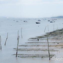 arcachon