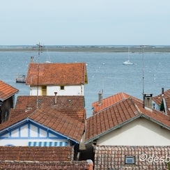 2014-05-05 237arcachonD800E