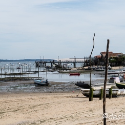 2014-05-05 253arcachonD800E