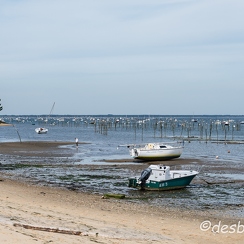 2014-05-05 255arcachonD800E