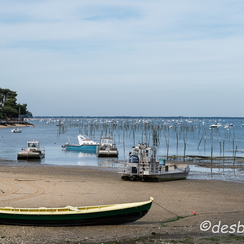 2014-05-05 271arcachonD800E