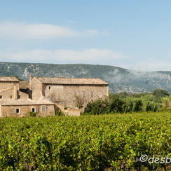 ETE2006-08-16 3 024 eygalieres