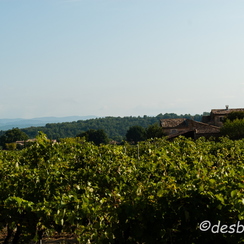 ETE2006-08-16 4 025 eygalieres