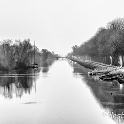 2012-03-21 1420 sommeD7000-Modifier-3