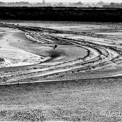 2013-05-01 984sommeD800E-Modifier-3