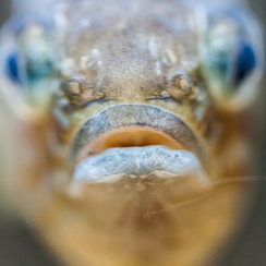 2010-05-11 10 aquariumD700