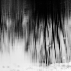 2016-03-22-1218{brenneD810}