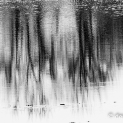 2016-03-22-1222{brenneD810}