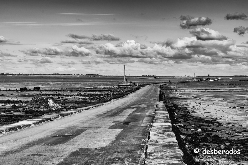 2015-04-29_1noirmoutier-Modifier.jpg