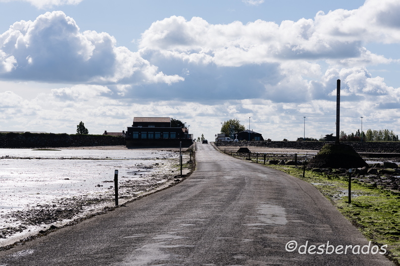 2015-04-29_7noirmoutier.jpg