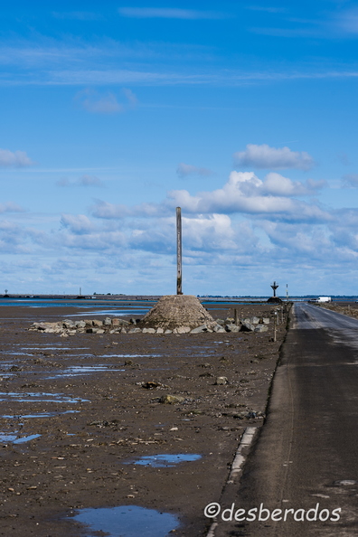 2015-04-29_8noirmoutier.jpg