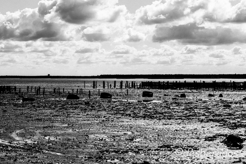 2015-04-29_9noirmoutier-2.jpg
