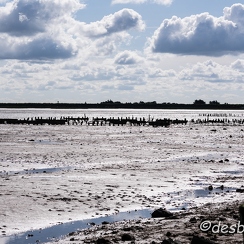 2015-04-29 10noirmoutier