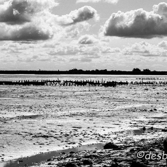 2015-04-29 10noirmoutier-2