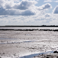 2015-04-29 11noirmoutier
