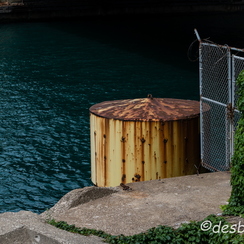 2016-06-18-780chicagoDf