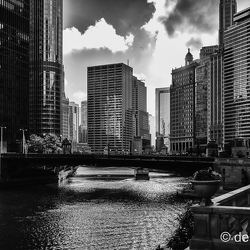 chicago black