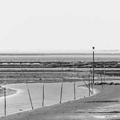 2016-08-23-195guerandeD500-Modifier