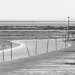 2016-08-23-238guerandeD500-Modifier