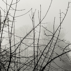 montb2006-12-10 0019