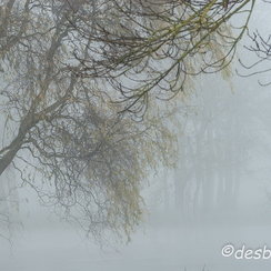 montb2006-12-10 0024