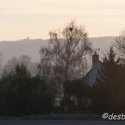 2016-12-04-119loireD810