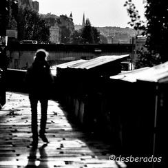 2016-05-18-403parisDf-Modifier