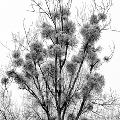 2017-01-01-237loireD810-Modifier