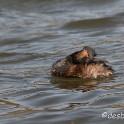 Autour de la baie de somme