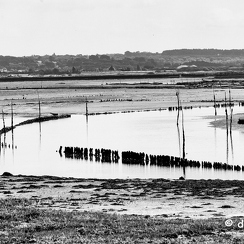 2016-07-21-088guerandeD810-Modifier