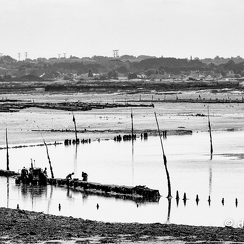 2016-07-21-090guerandeD810-Modifier