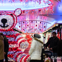 2013-12-26 331toursDf